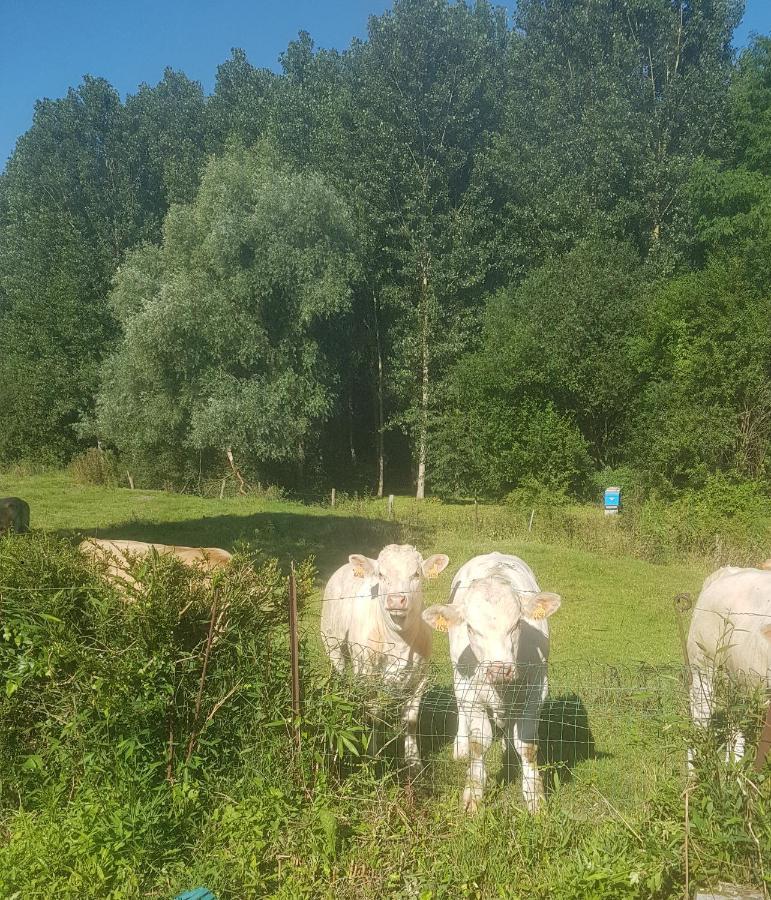 Willa Maison Au Bord De L'Ancre Authuille Zewnętrze zdjęcie